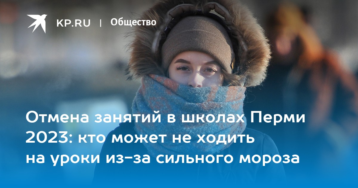 отмена занятий в школах 2023. отмена занятий в школах 2023. отмена занятий в школах из за морозов. отмена уроков в димитровград. отмена занятий в школах.