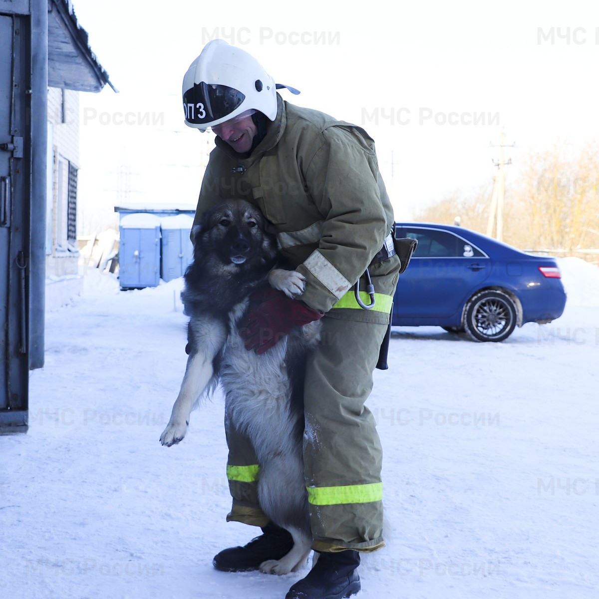 Спасенный при пожаре пёс Вася уже год служит в пожарной части в Твери -  KP.RU