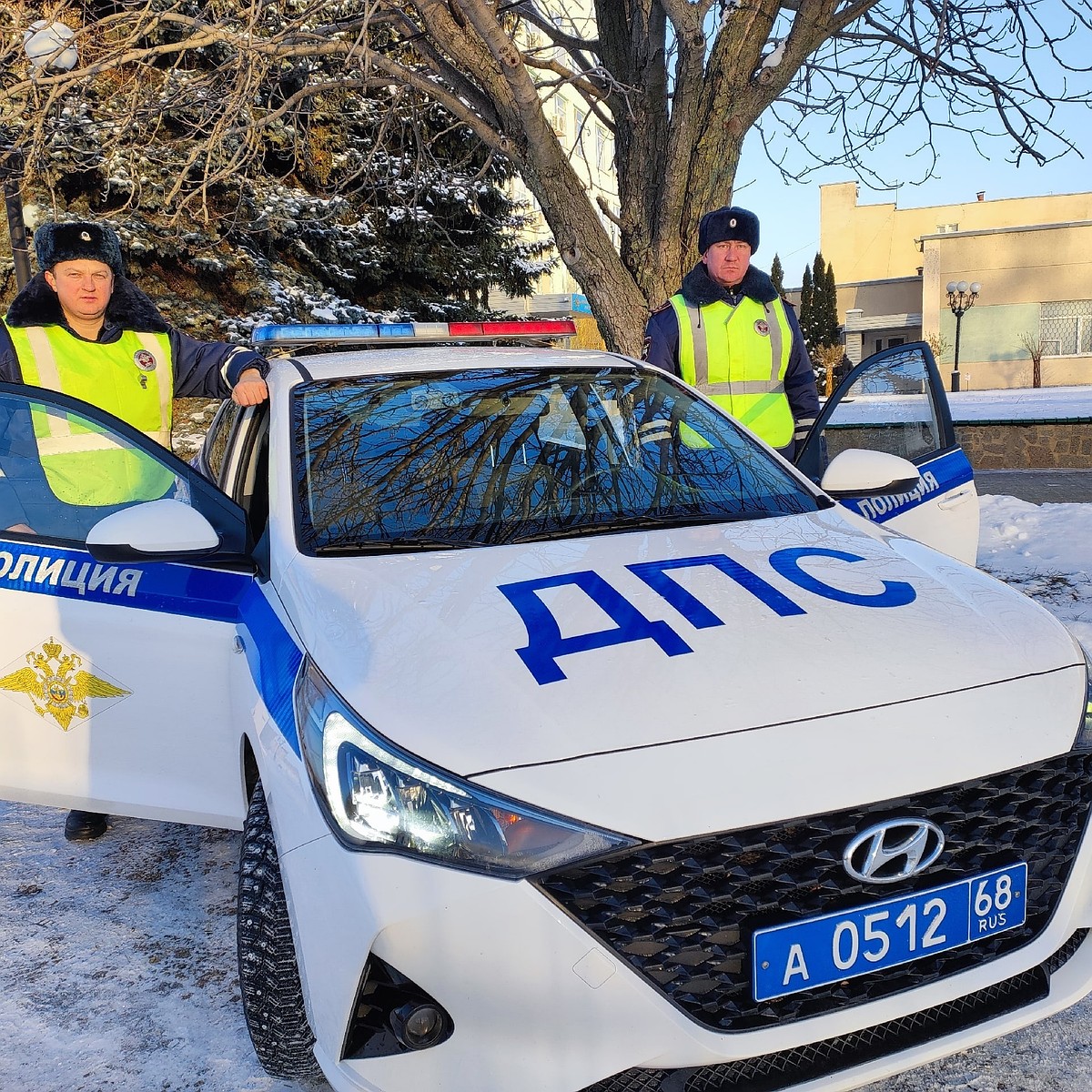 Тамбовские полицейские помогли замерзающему на трассе водителю - KP.RU