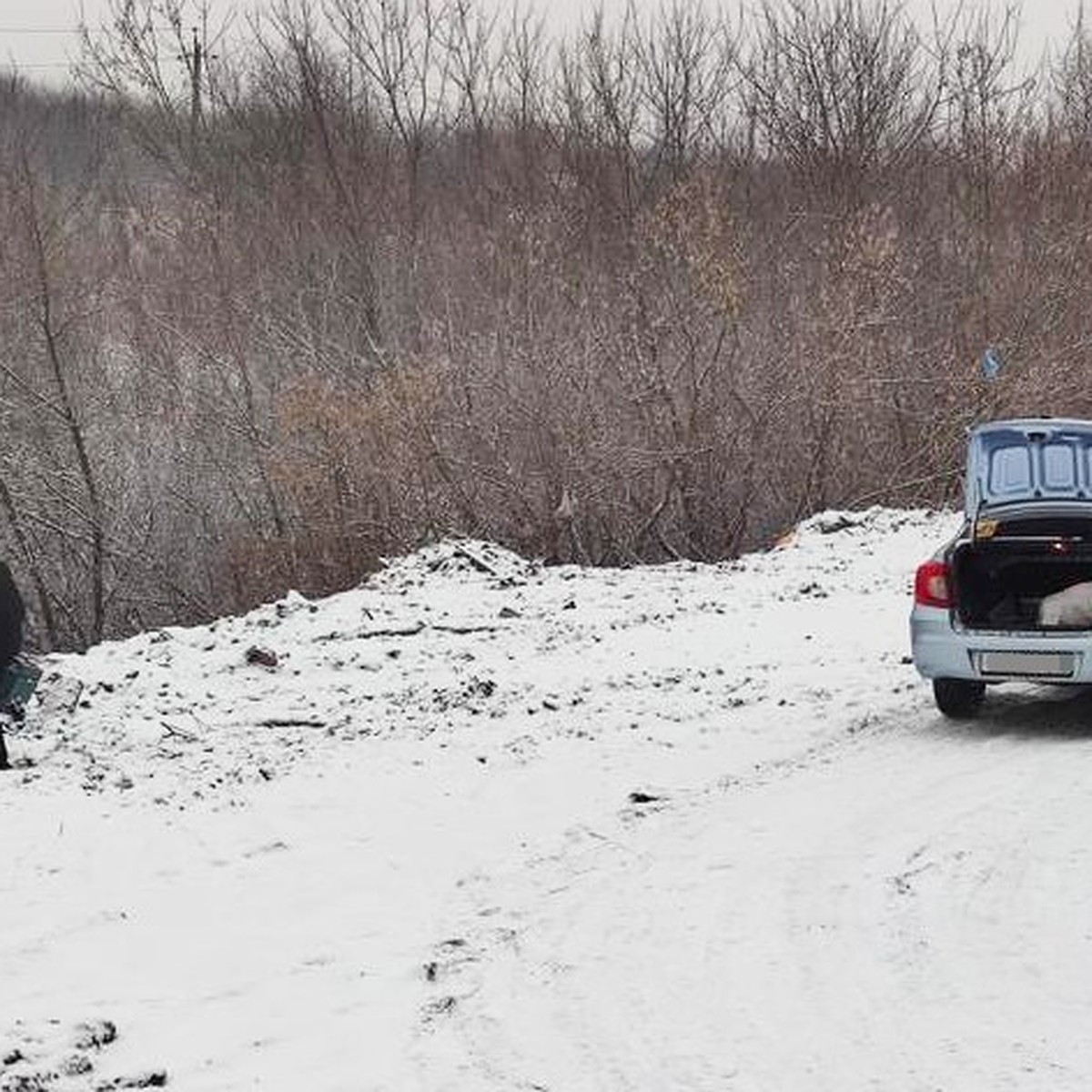 В Белгородской области оштрафовали водителя, выбросившего мусор на обочине  - KP.RU