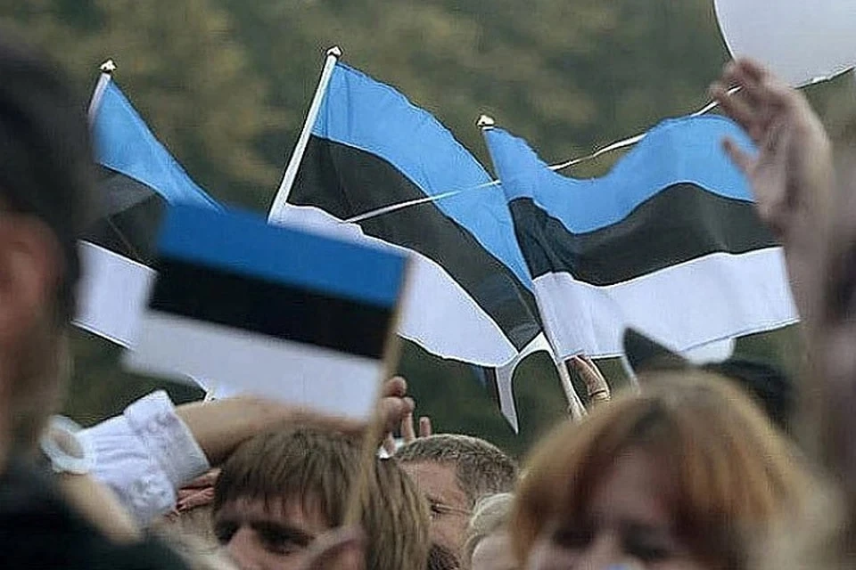 Эстония рассчитывает первой в Европе конфисковать замороженные российские активы