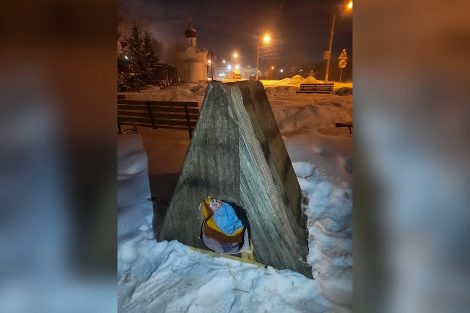 Бездомному псу смастерили домик, чтобы он мог переждать морозы. Фото: Андрей Иванов.
