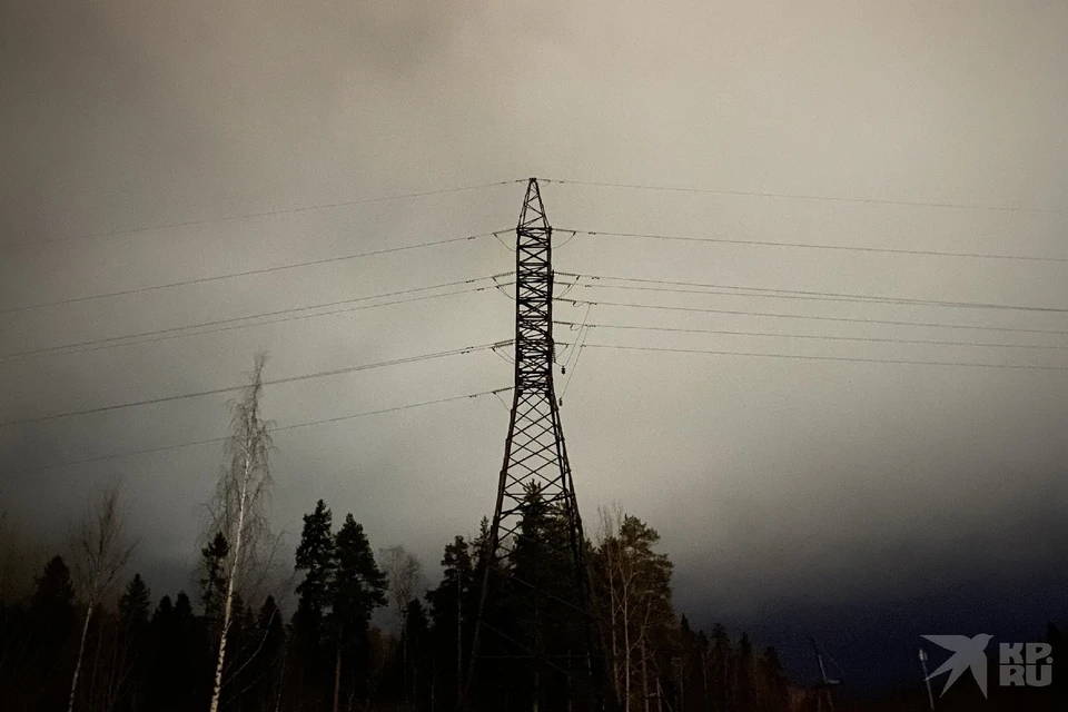В десяти районах Рязанской области 12 января отключат электричество.
