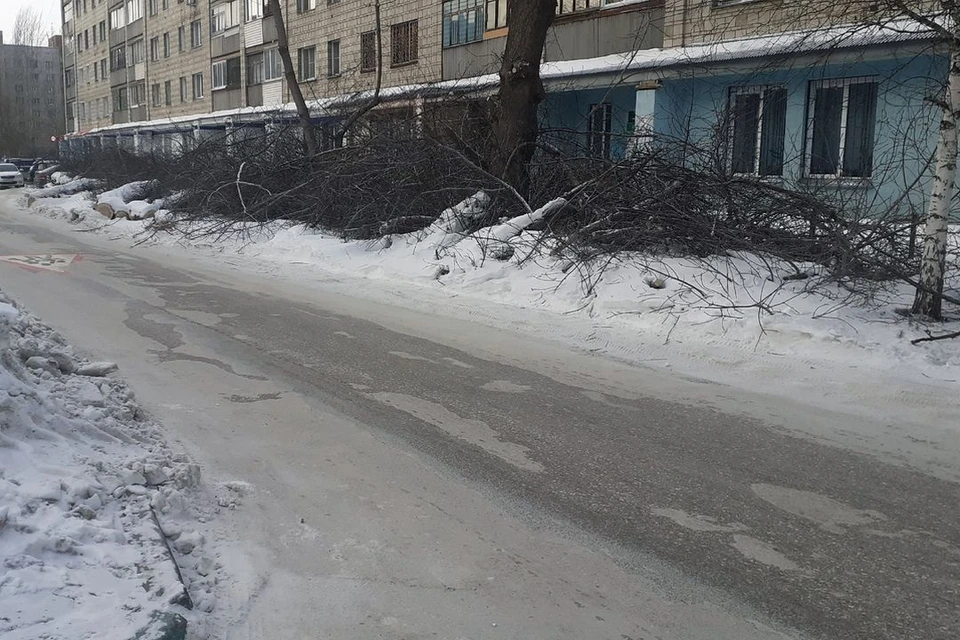 Куча хвороста лежит на Затулинке на улице Зорге. Фото: предоставлено местной жительницей