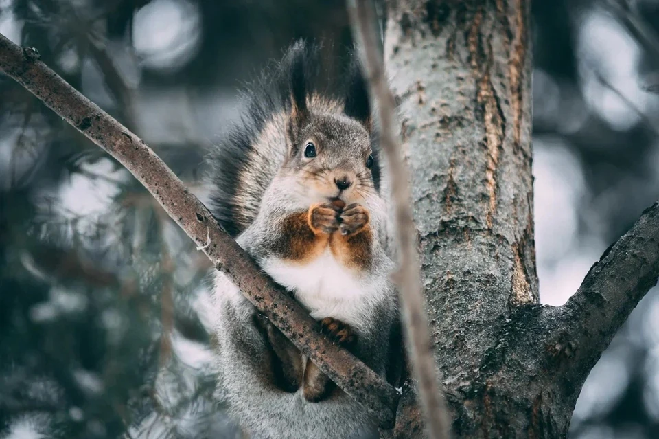 Время настроиться на доброе утро. Фото: Сергей Березин