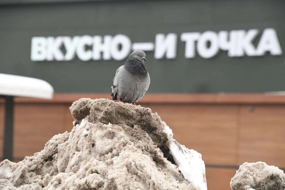 Найдут и накажут всех!