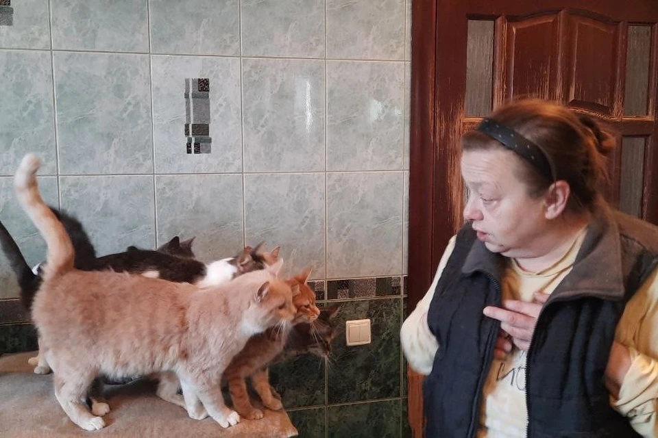 В Доме Светланы Бойцовой живут 65 кошек и 12 собак. Фото: "ФлагманВет"