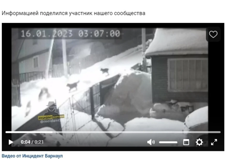Скриншот публикации в группе «Инцидент Барнаул»