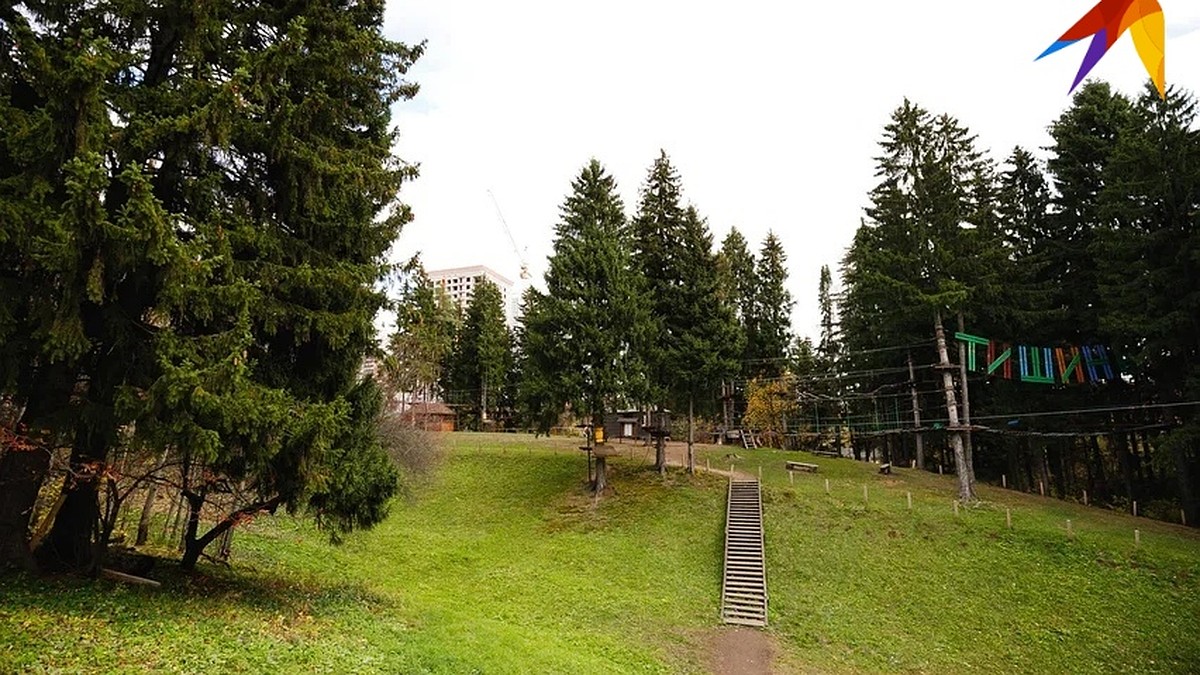 Благоустройство парков «Березовая роща» и «Тишино» в Ижевске продолжится в 2023 году - KP.RU