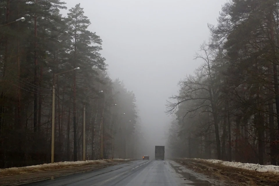 В пятницу в Липецкой области туман и небольшие дожди
