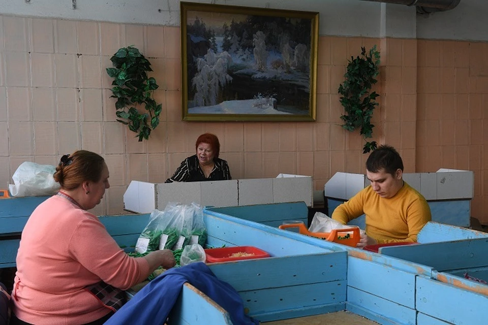 Работодатели, трудоустраивающие инвалидов, получат гранты в Хабаровском крае