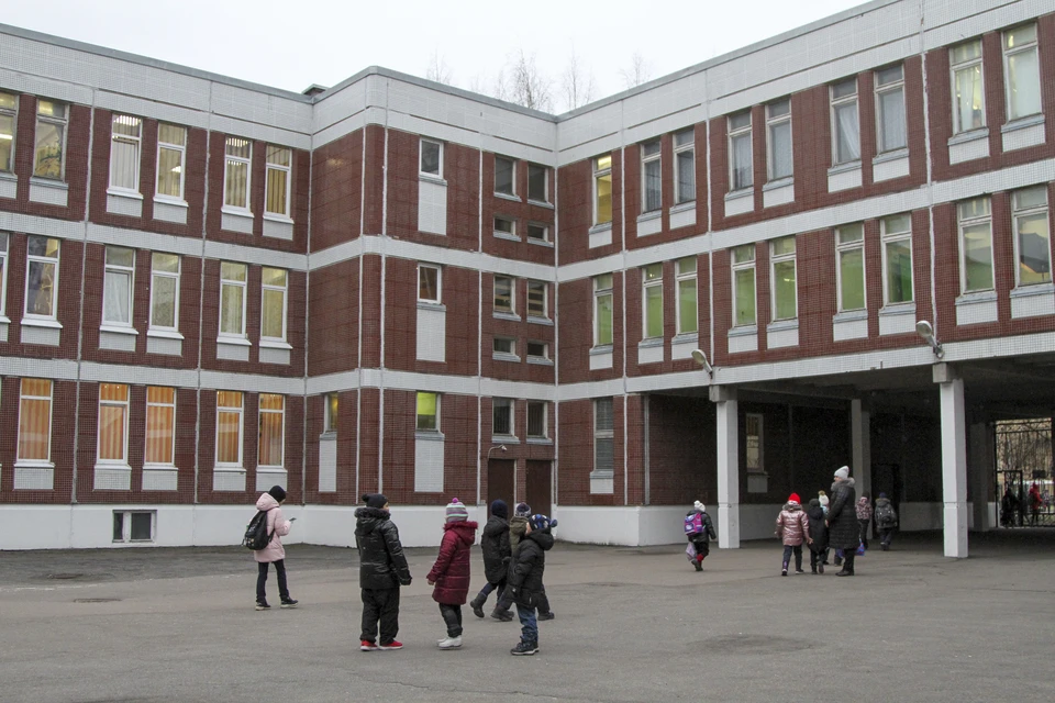 Прокуратура начала проверку после нападения школьниц на учительницу в Ленинградской области