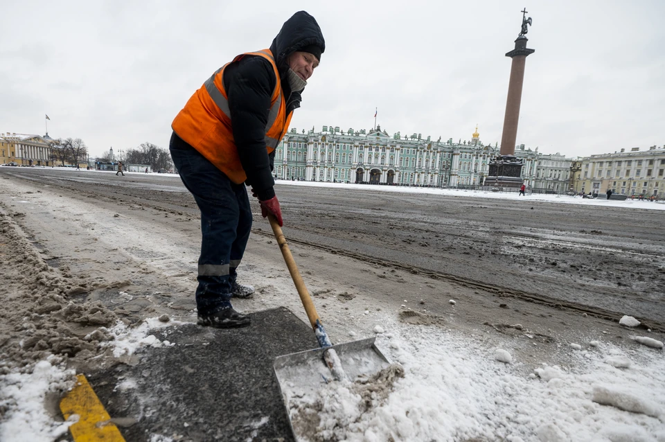 16 районов Петербурга частично перешли на новую систему уборки города
