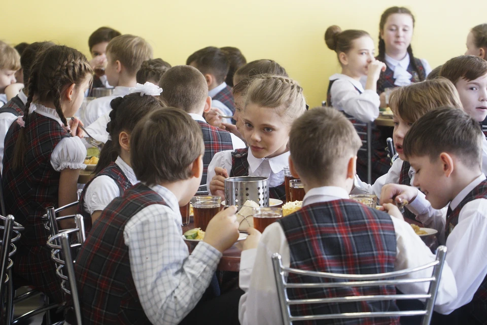Ульяновская область представила свой опыт организации школьного питания на федеральном уровне
