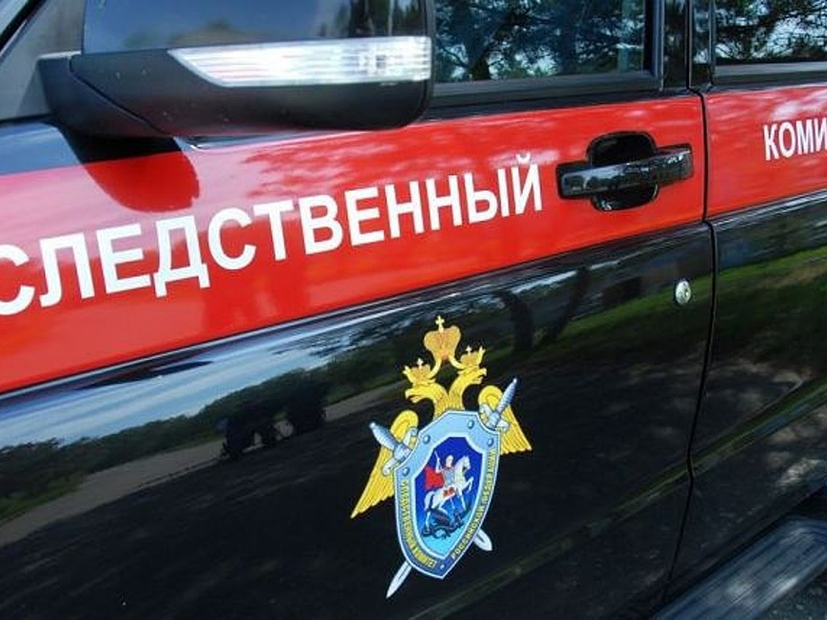 В отношении пропавшей в Твери 15-летней девочки могло быть совершено  преступление - KP.RU