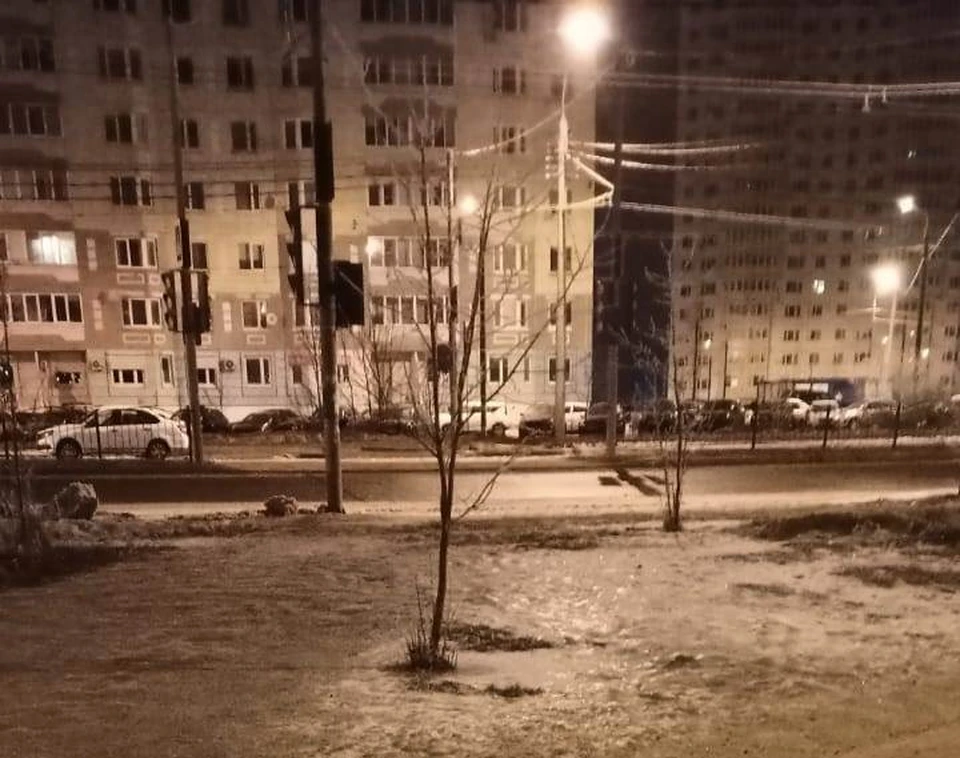 Убийца пытался сбежать, но был задержан