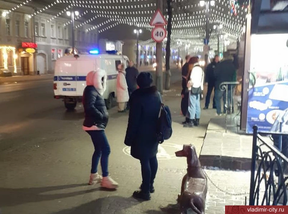 Фото: администрация города Владимира