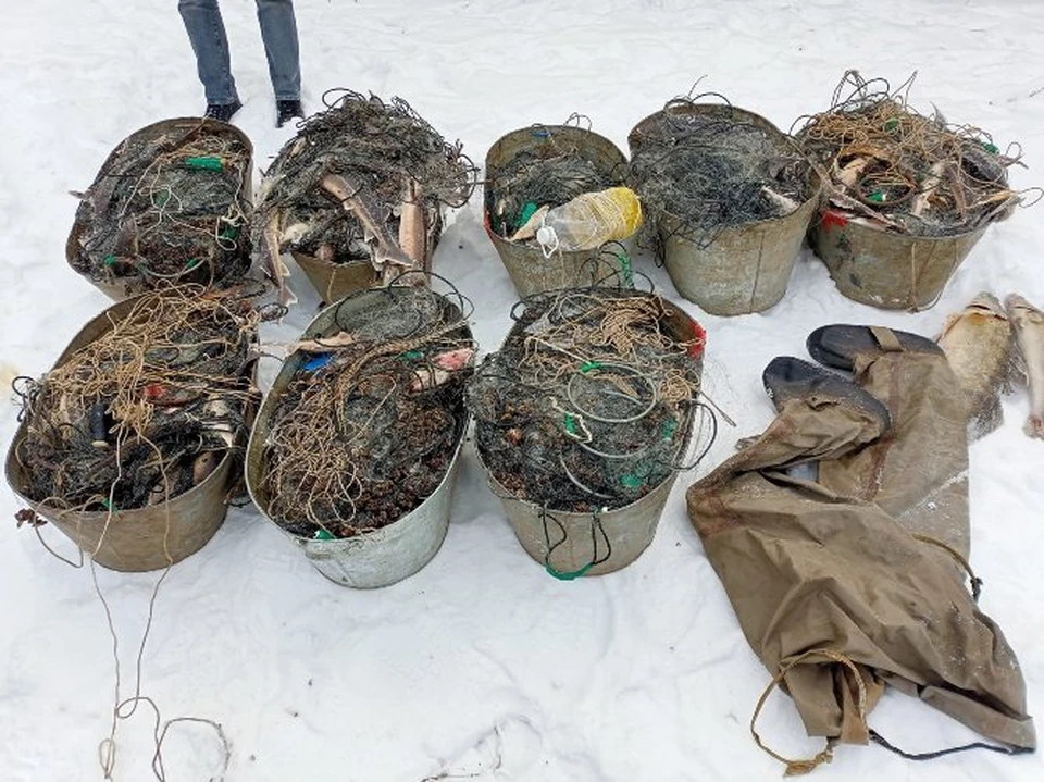 В общей сложности рыбаки незаконно поймали более 250 штук рыбы / Фото: Средневолжское ЛУ МВД России на транспорте