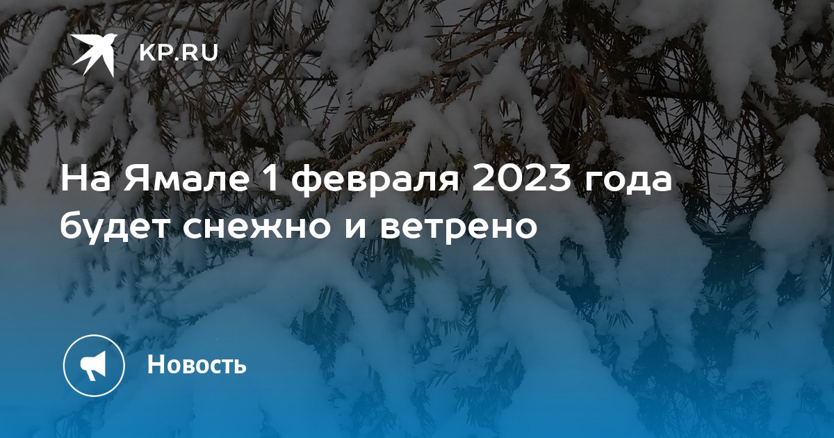 На Ямале 1 февраля 2023 года будет снежно и ветрено - KP.RU