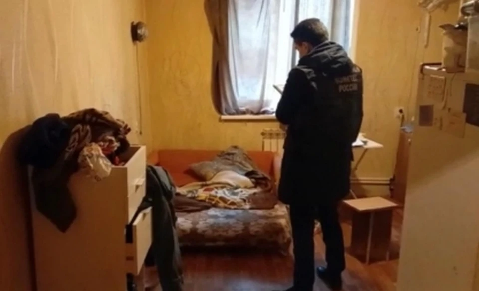 Возбуждено уголовное дело по факту халатности соцзащиты из-за убийства 7-летнего мальчика в тульском Скуратово