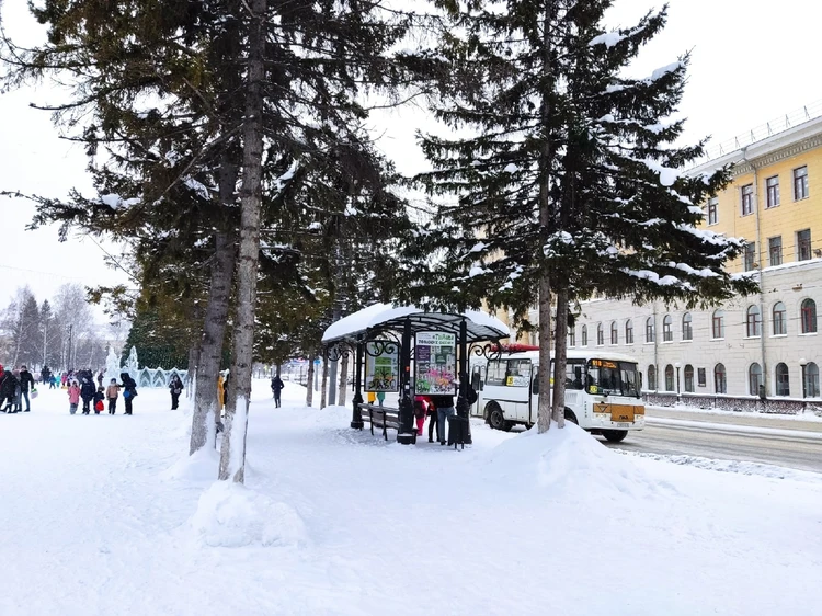 Вторая неделя февраля в Томске будет без морозов и с осадками