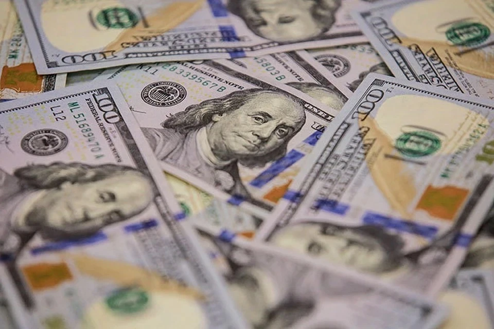 Экономист Беляев предрек замену доллара валютами регионального значения