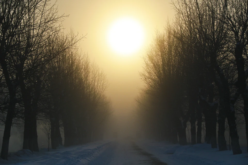 Морозное утро