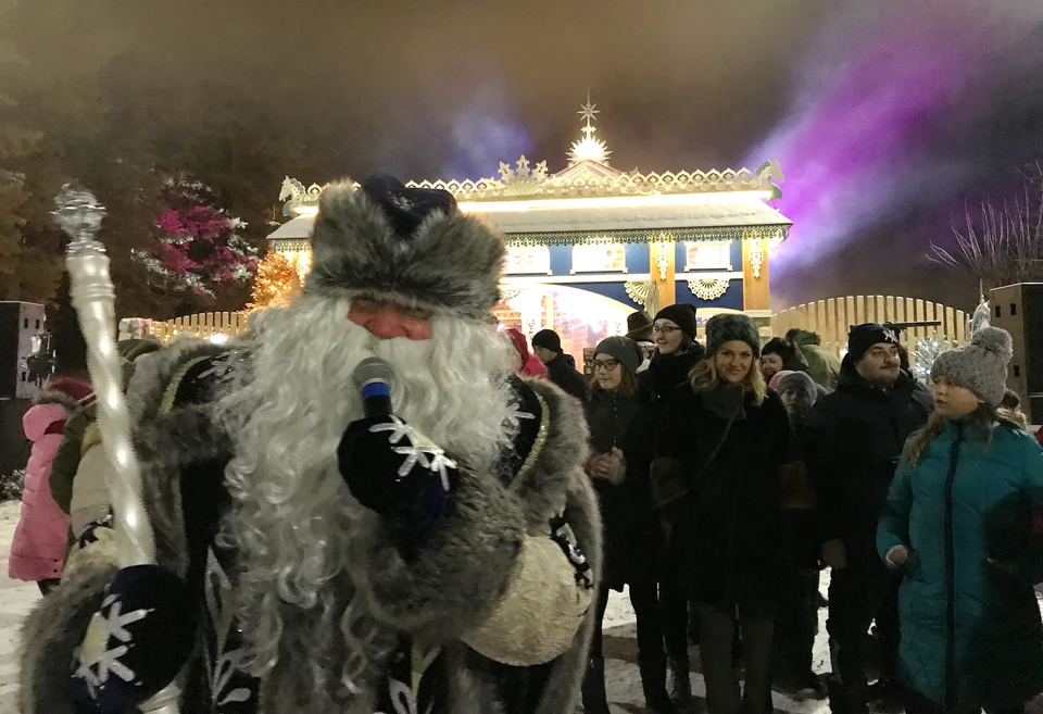 Воронежский Дед Мороз в Нелже