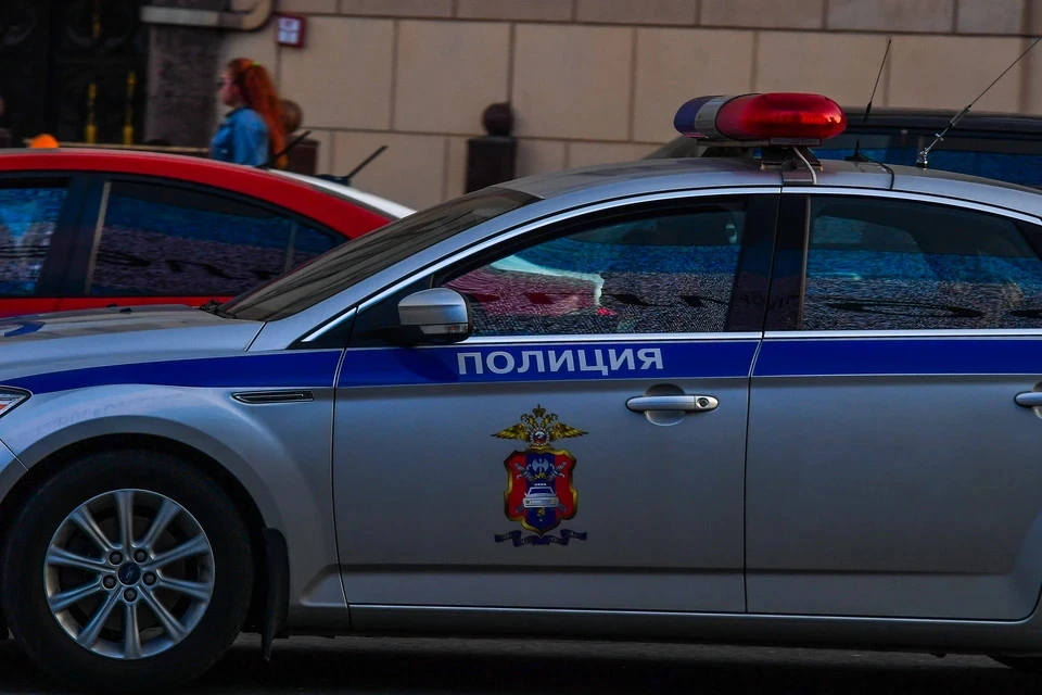 Против напавшего завели уголовное дело по ч. 1 ст. 318 УК РФ «Применение насилия в отношении представителя власти»