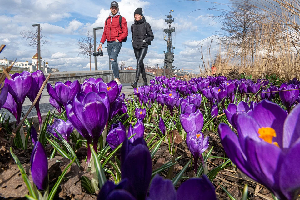 Весна обычно наступает в Москве в самом конце марта, 28-29-го числа.