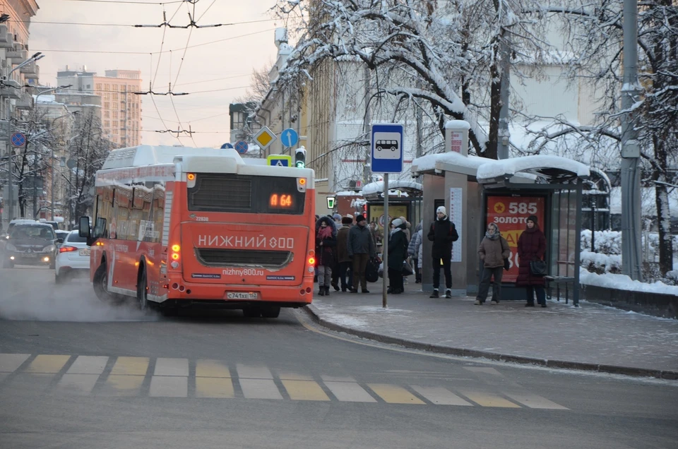 30 новых комфортабельных автобусов закупили в Нижнем Новгороде.