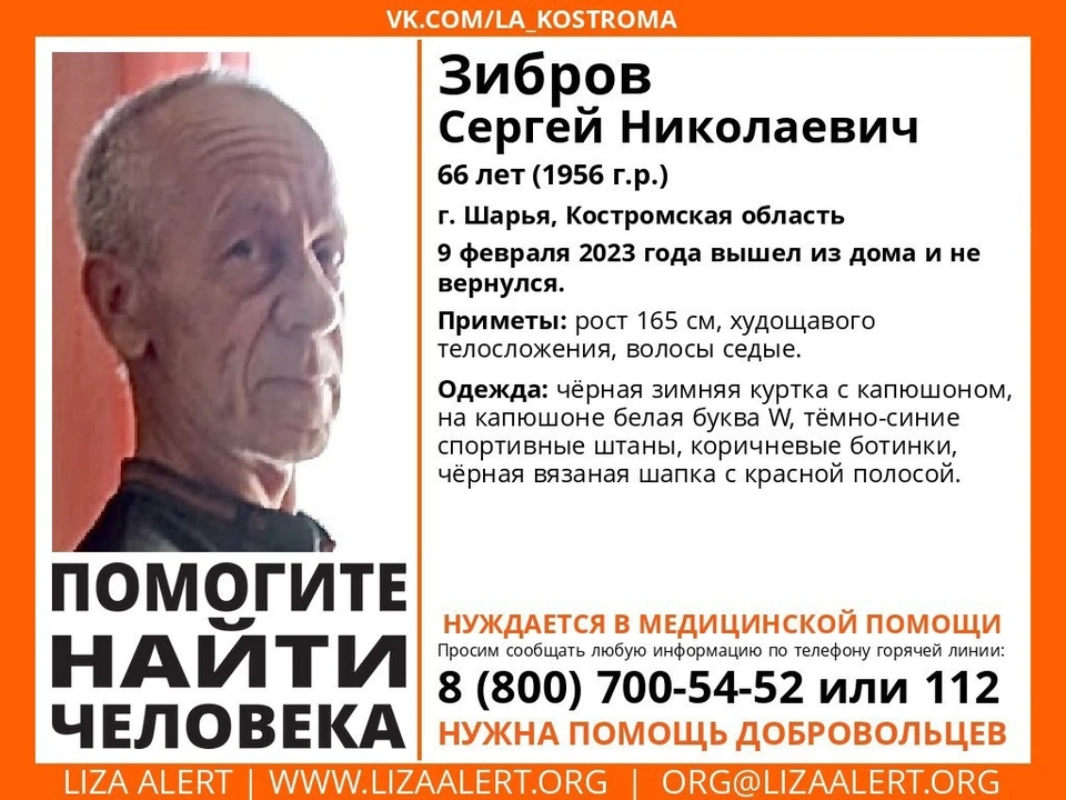 Фото: ДПСО "Лиза Алерт" Костромской области