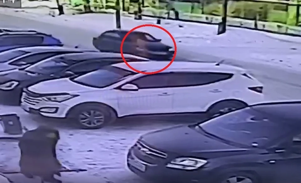 Фото: скриншот с видео