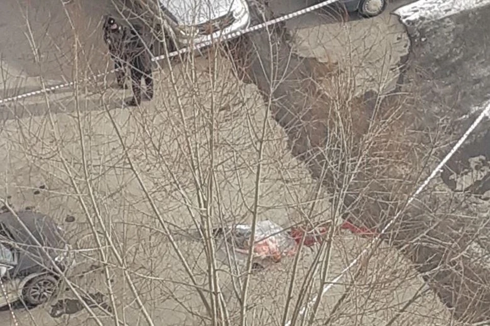 Мужчину убили во дворе дома. Фото: читатель КП