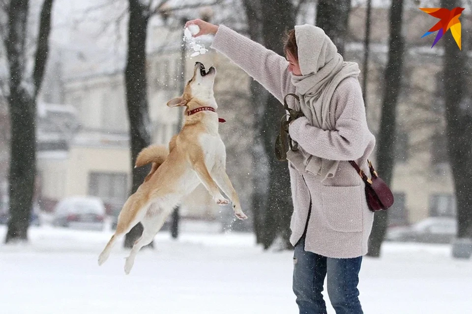 Что можно и нельзя делать в день Семена и Анны 16 февраля, который ...
