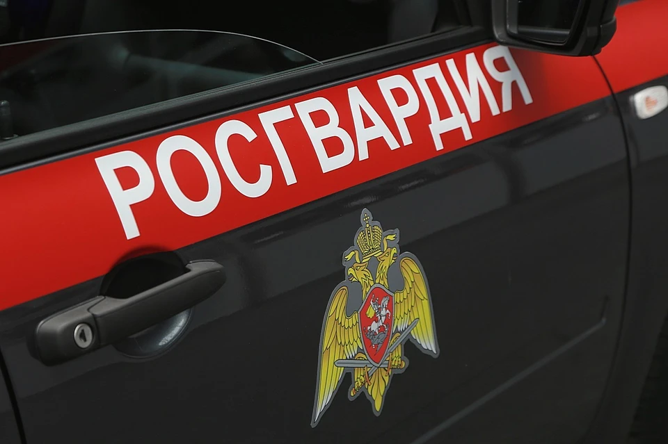 В Красноярске росгвардейцы задержали серийного сырокрада