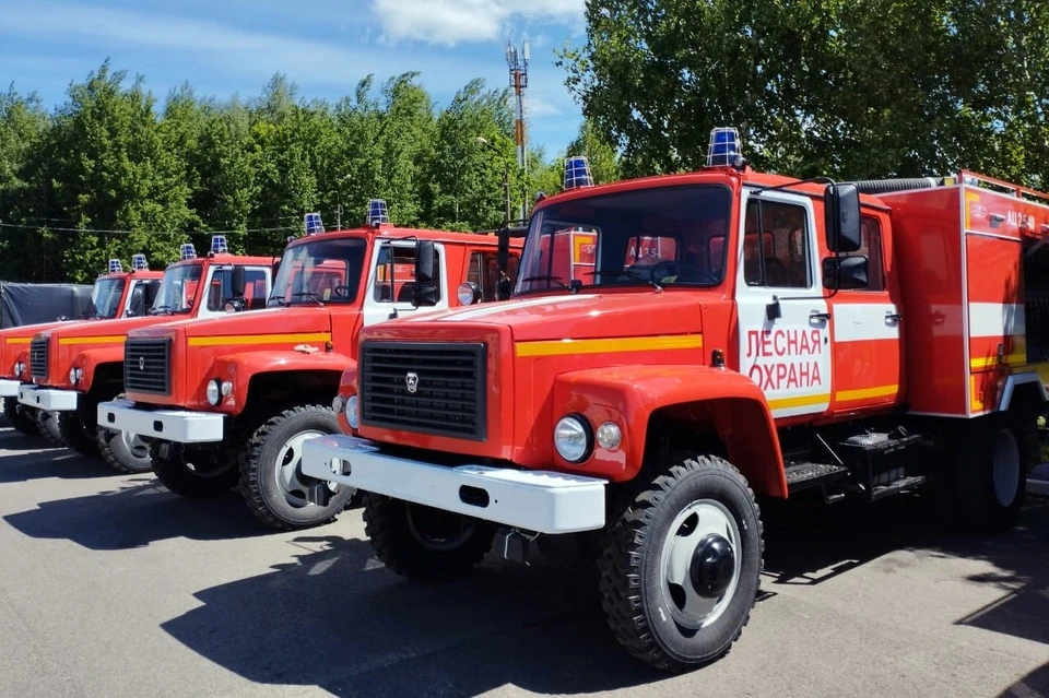 фото Правительства Владимирской области