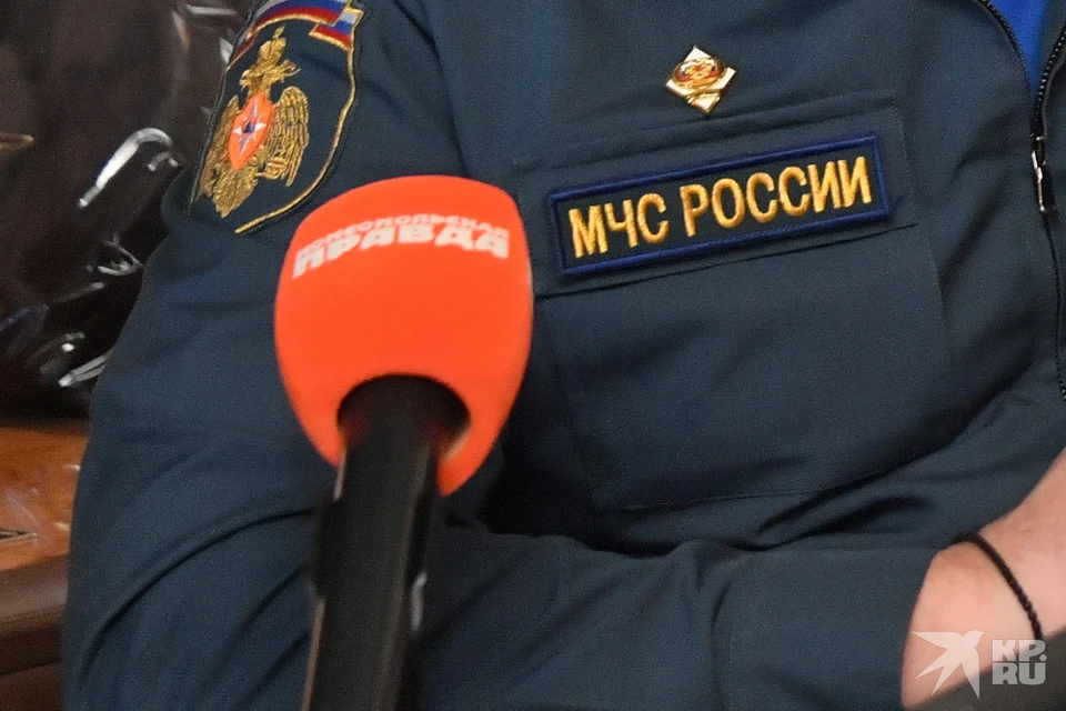 Жителей Рязанской области предупредили о фейке про объявленную по радио воздушную тревогу.