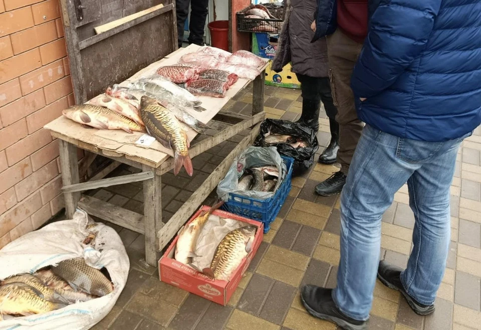 Рейд по пресечению незаконной торговли