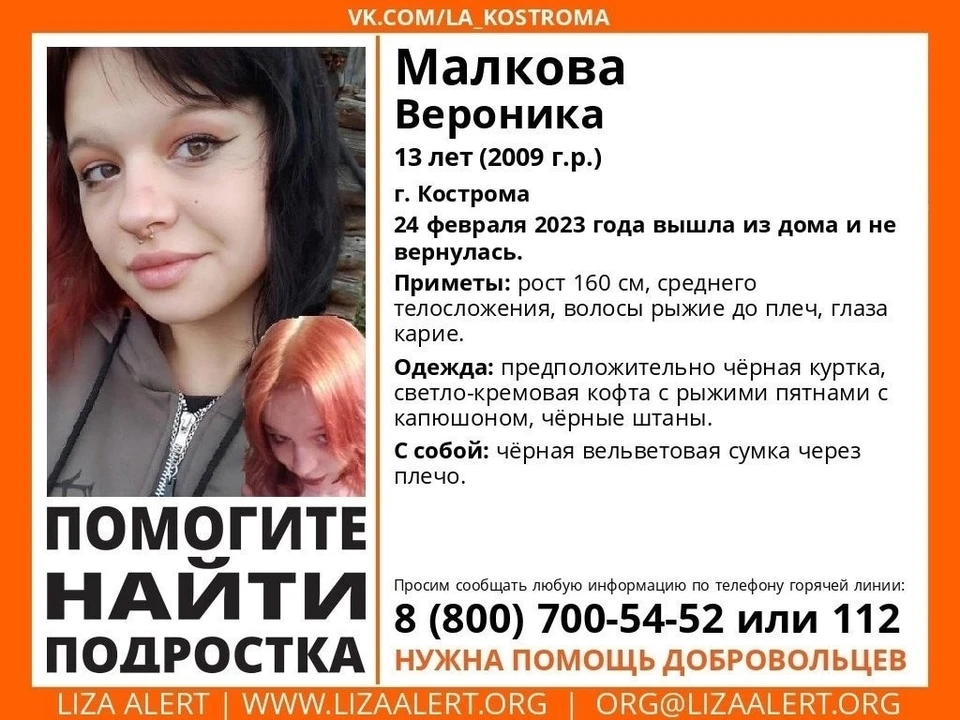 Источник: vk.com/la_kostroma
