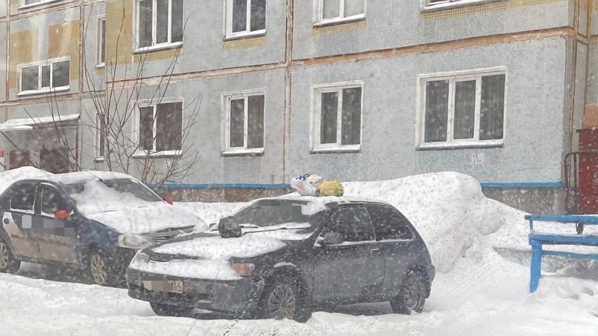 В Новосибирске жильцы дома выбросили мусор на крышу автомобиля из-за  неправильной парковки - KP.RU