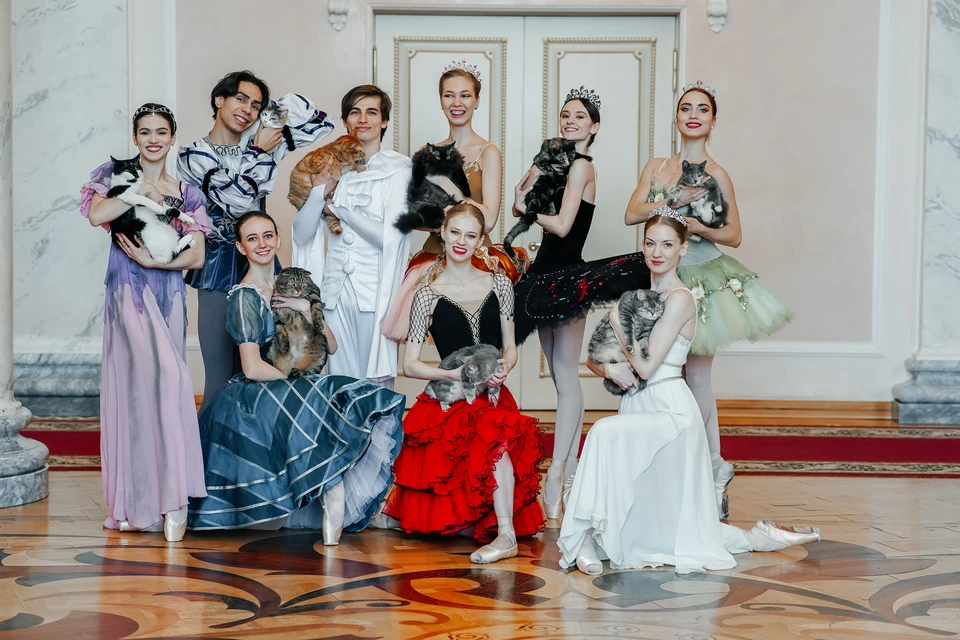 Артисты Самарского театра оперы и балета приняли участие в фотопроекте «КП-Самара» к Международному дню кошек, чтобы помочь бездомным животным найти любящую семью.