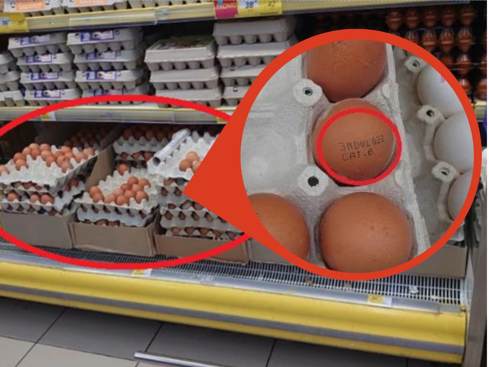 Яйца с сальмонеллой на прилавке супермаркета. Фото: АNSA.