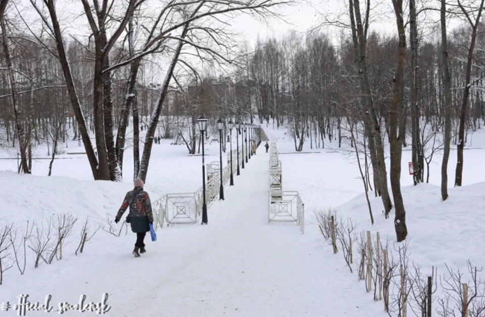 Небольшой снег пройдёт в Смоленской области 6 марта.