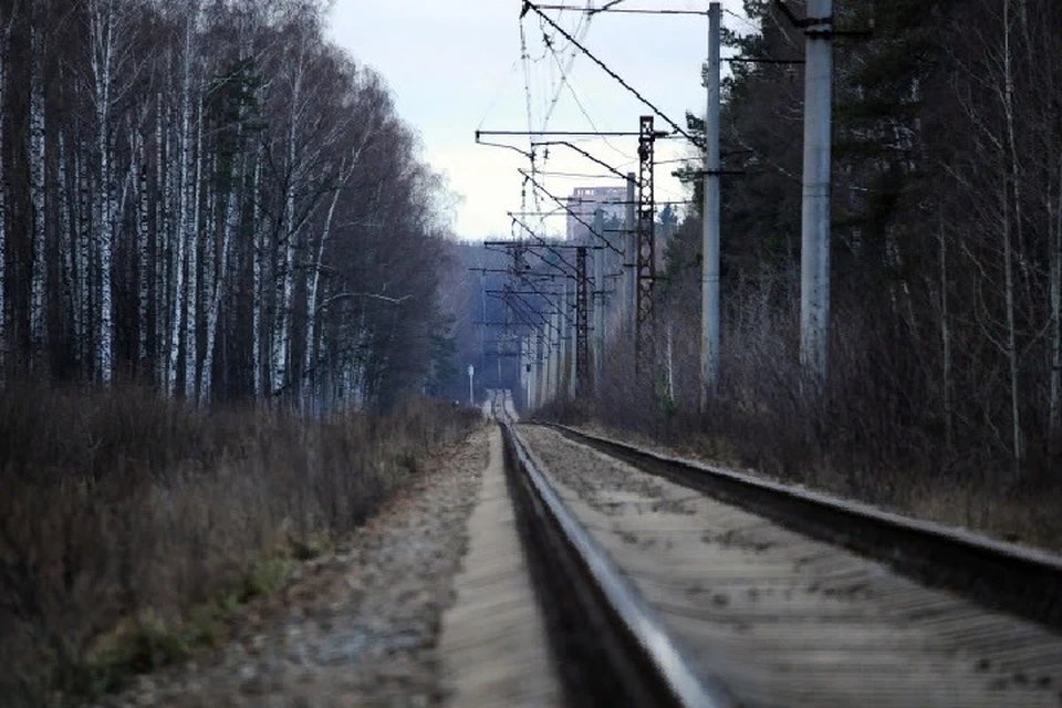 Речь идет о восстановлении участка железной дороги «Миллерово - Разъезд 122 км», перевозки на котором осуществлялись до 2007 года
