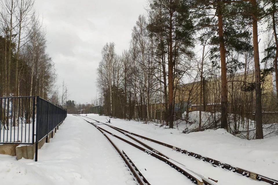 Первая в России женщина-машинист поезда дальнего следования выйдет в рейс 6 марта 2023 года