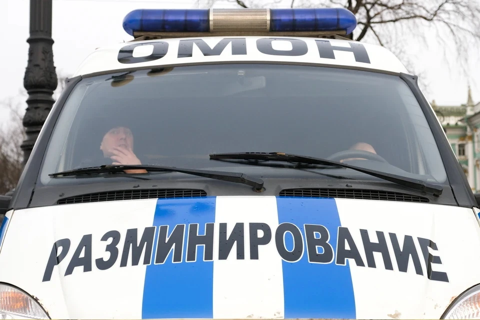 На Набережной улице в Домодедове задержан мужчин в камуфляже
