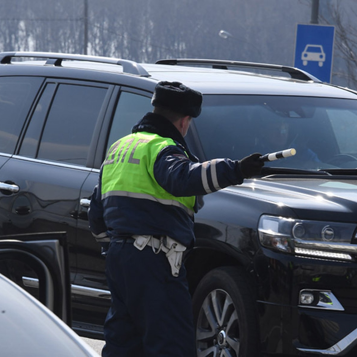 В Челябинской области 7 марта устроят сплошную проверку водителей - KP.RU