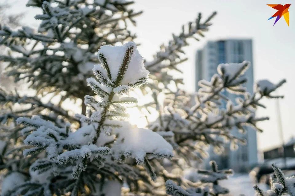 В Ижевске ожидается снег с дождем