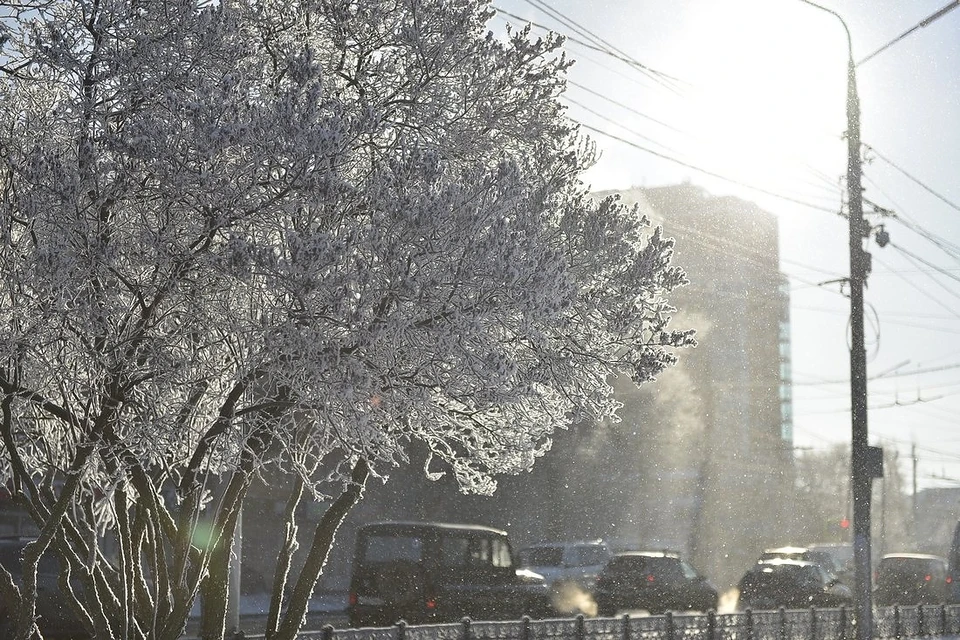 Погода в Туле на 9 марта: туляков ждет мокрый снег